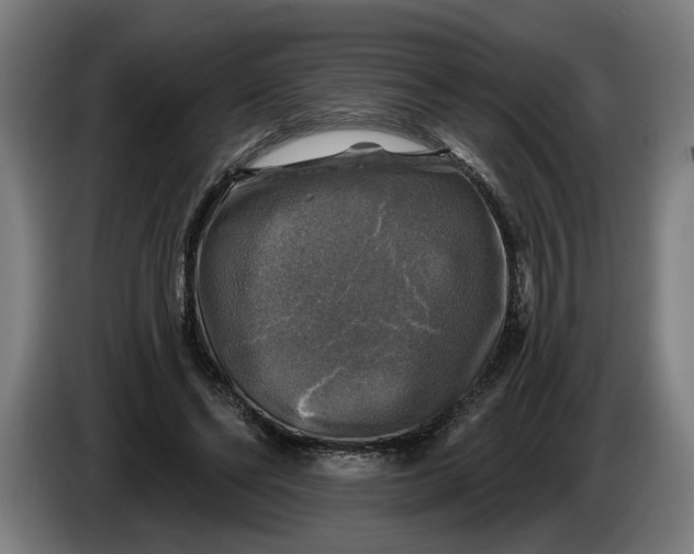 X0000085770494200703301406