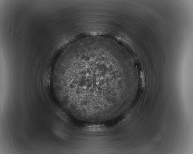 X0000085770499200703301406