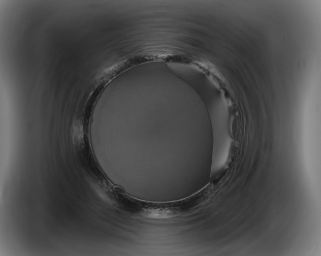 X0000085770500200703301406