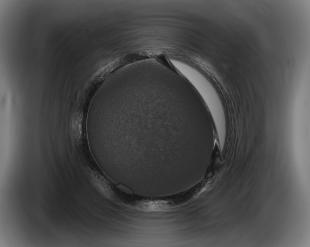 X0000085770501200703301406