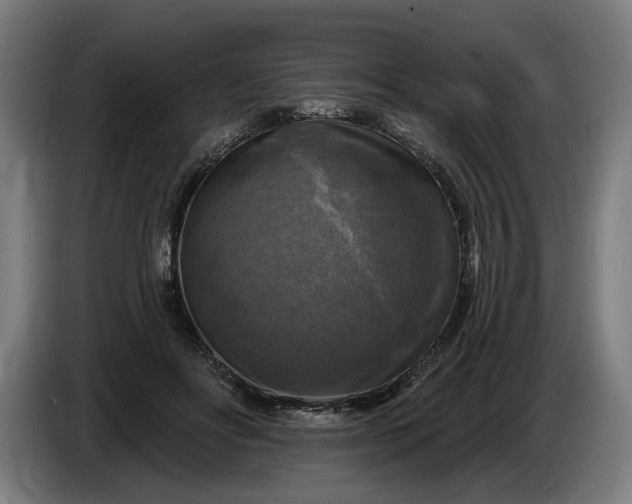 X0000085770502200703301406