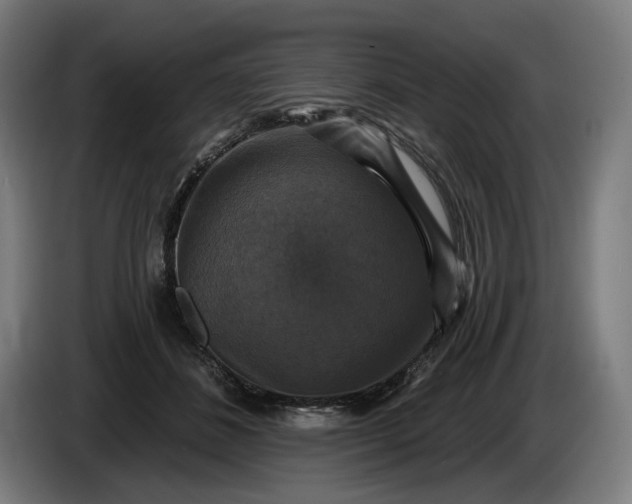 X0000085770508200703301406