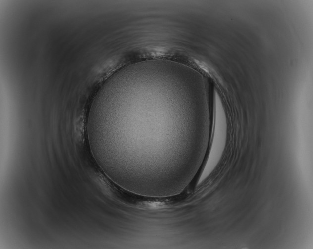 X0000085770509200703301406