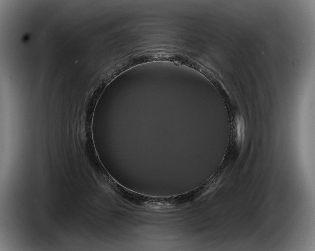 X0000085770512200703301406