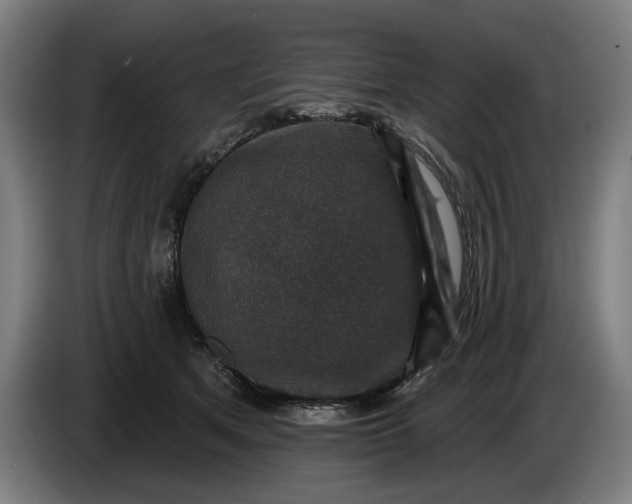 X0000085770513200703301406