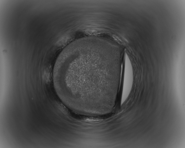 X0000085770515200703301406