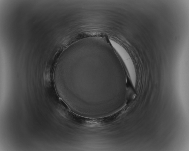 X0000085770516200703301406