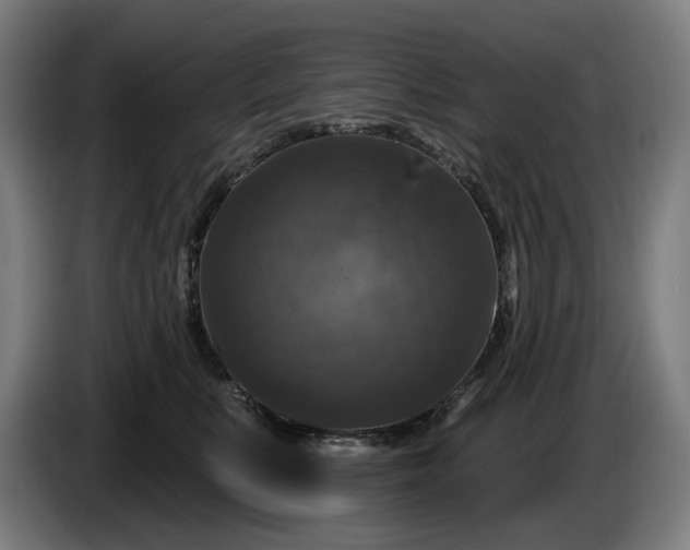 X0000085770519200703301406