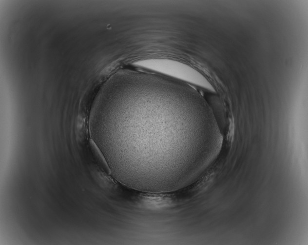 X0000085770521200703301406