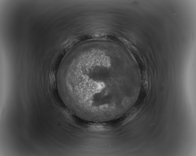 X0000085770523200703301406