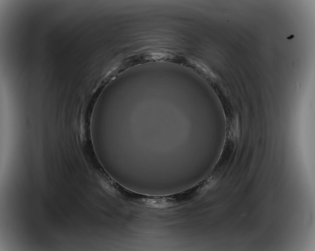 X0000085770524200703301406