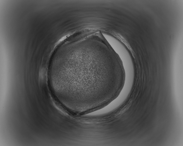 X0000085770530200703301405