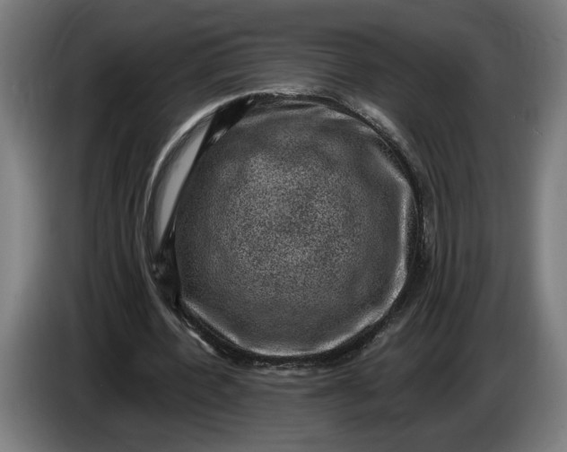 X0000085770532200703301405