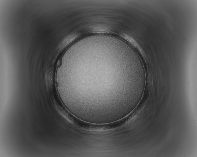 X0000085770533200703301405