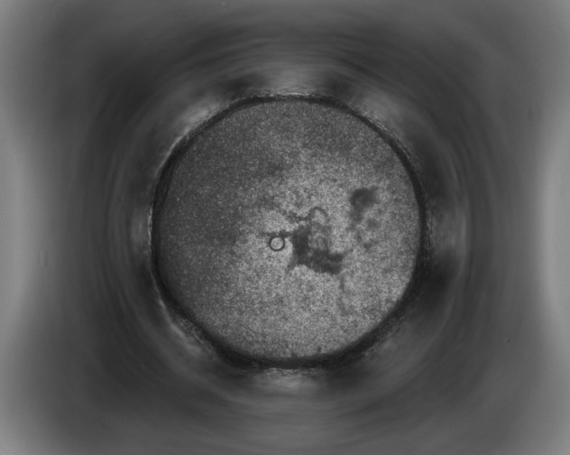 X0000085770534200703301405