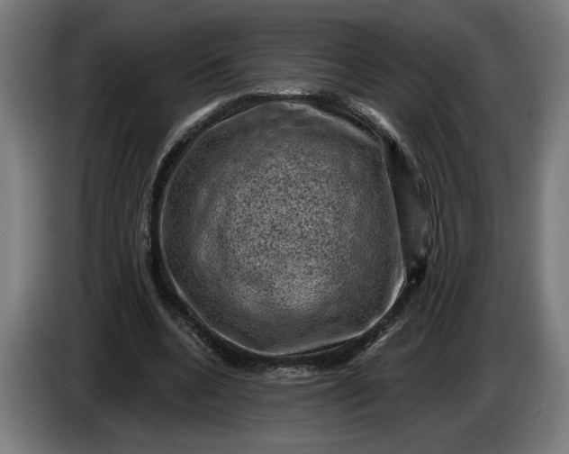 X0000085770536200703301405