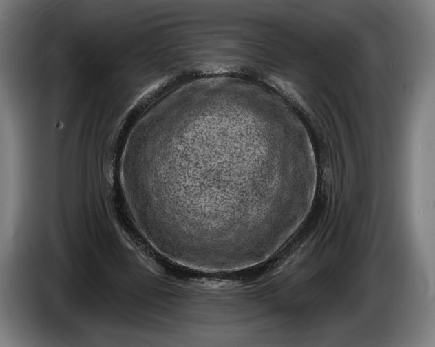 X0000085770539200703301405