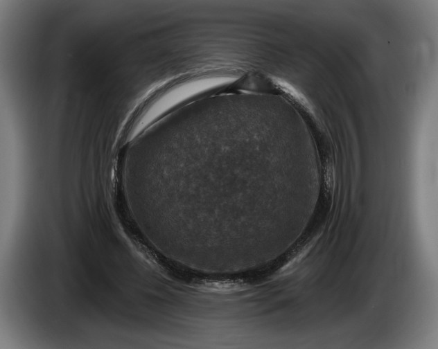 X0000085770540200703301405