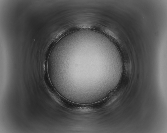 X0000085770541200703301405