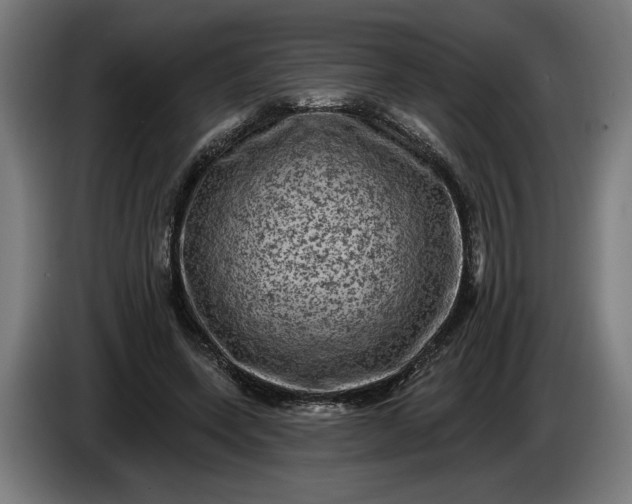 X0000085770543200703301405