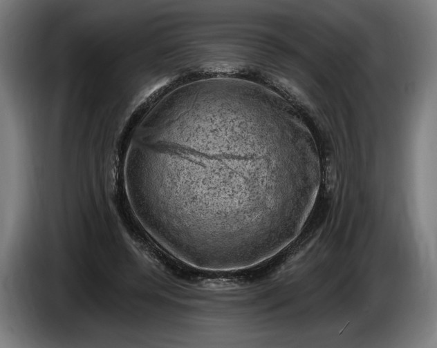 X0000085770544200703301405