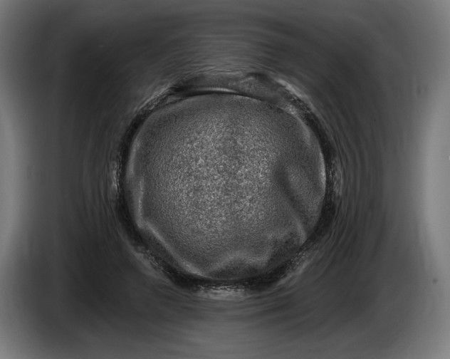 X0000085770546200703301405