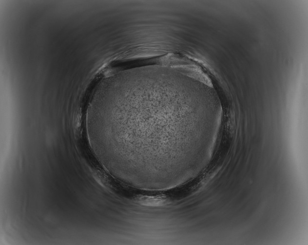 X0000085770548200703301405