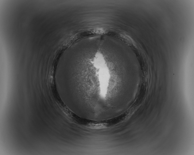 X0000085770553200703301406