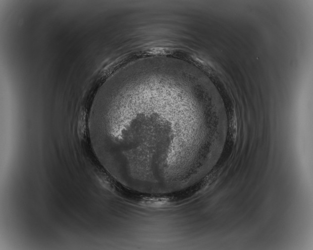 X0000085770554200703301406