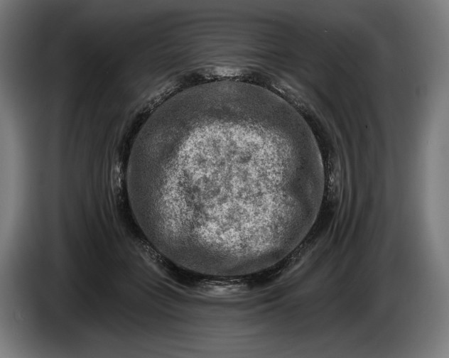 X0000085770555200703301406