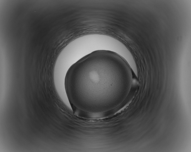 X0000085770556200703301406