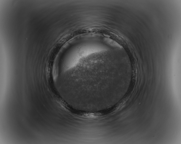 X0000085770558200703301406