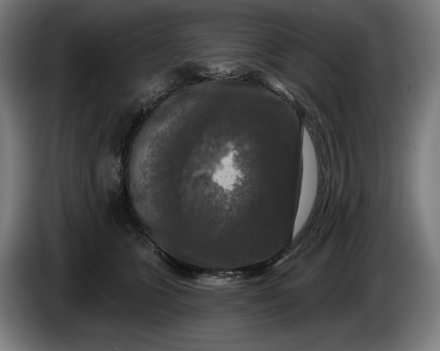 X0000085770563200703301406