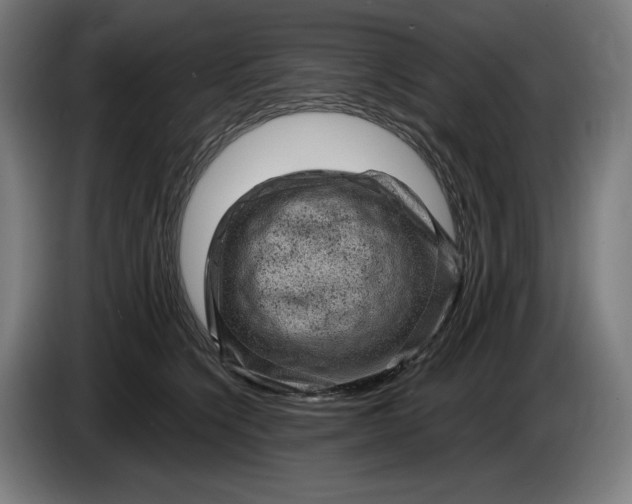 X0000085770564200703301406