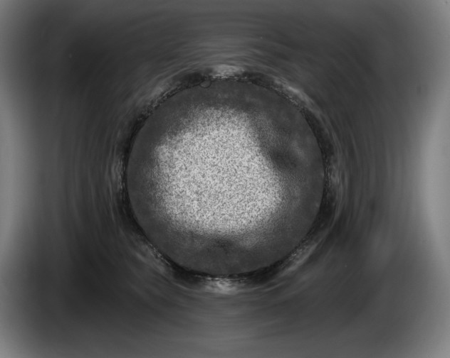 X0000085770565200703301406