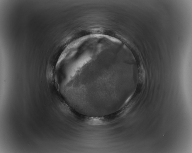 X0000085770573200703301406