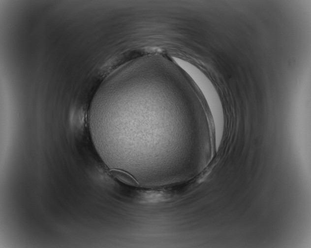 X0000085770574200703301406