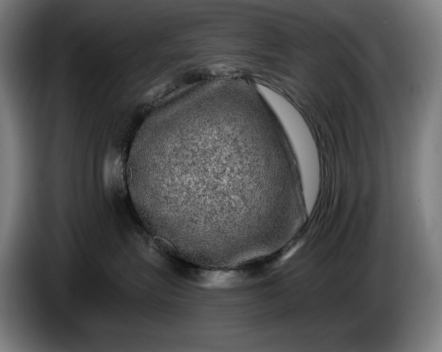 X0000085770575200703301406