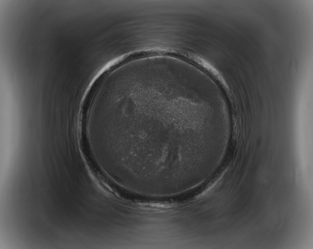 X0000085770580200703301405