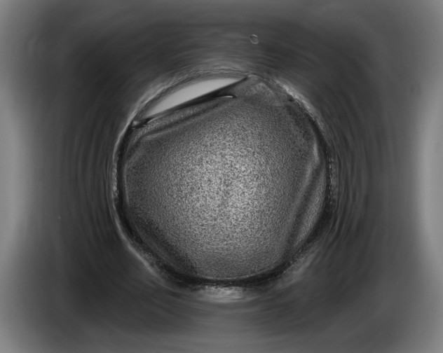 X0000085770582200703301405