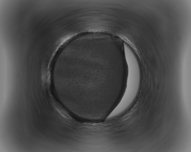 X0000085770584200703301405