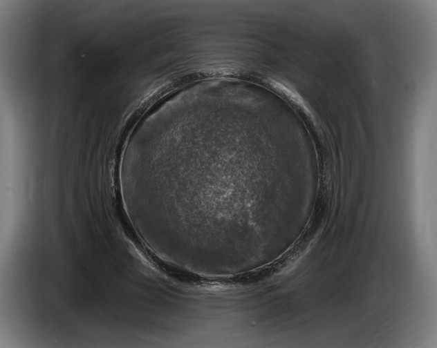 X0000085770585200703301405