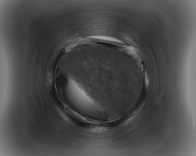 X0000085770593200703301405