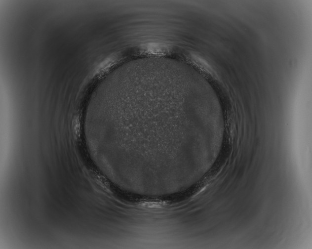 X0000085770595200703301405