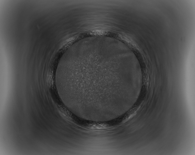 X0000085770599200703301405