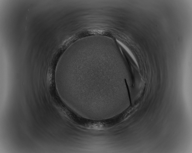 X0000085770600200703301405