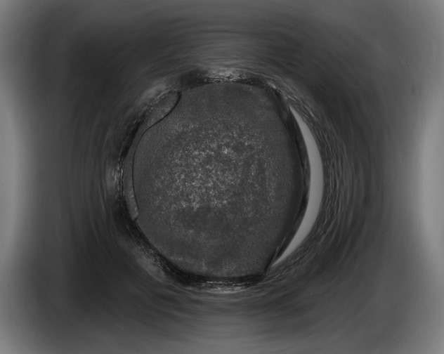 X0000085770601200703301405