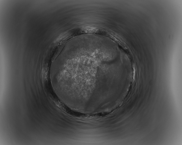 X0000085770604200703301405