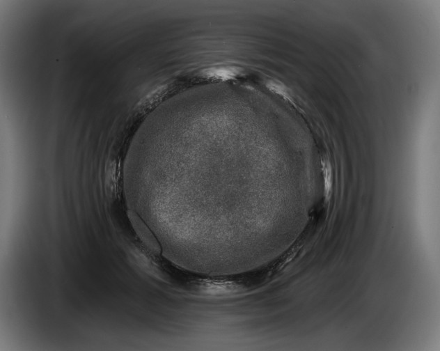 X0000085770605200703301405