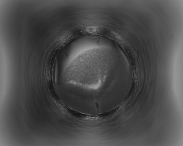 X0000085770606200703301405